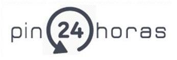 logo pin 24